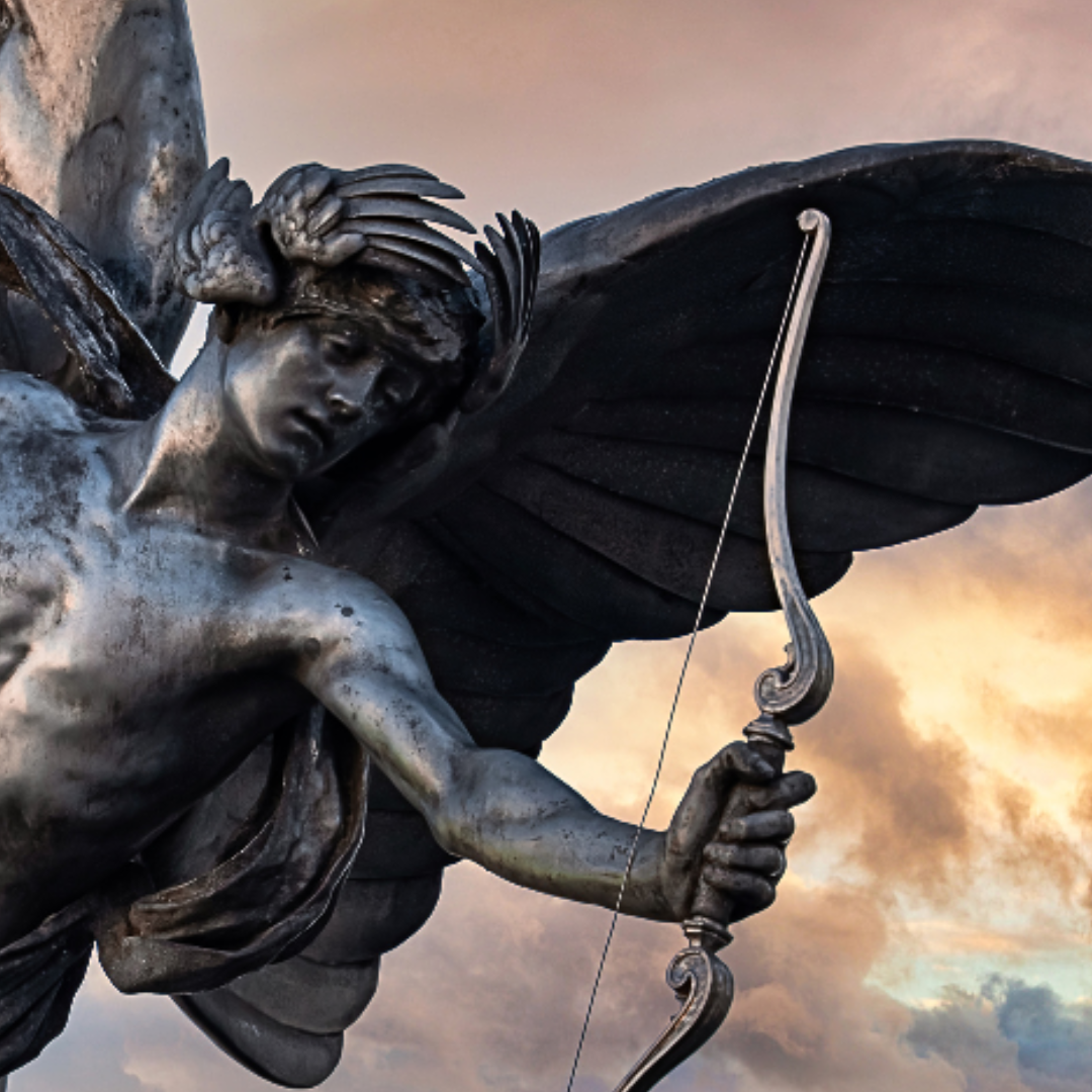 SMA - intégration 2026 (17)