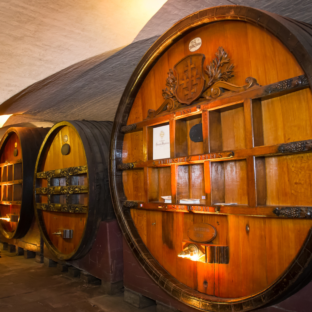 SMA - intégration 2026 (31)